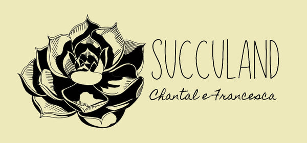Succuland